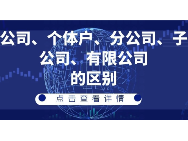 公司、个体户、分公司、子公司、有限公司的区别